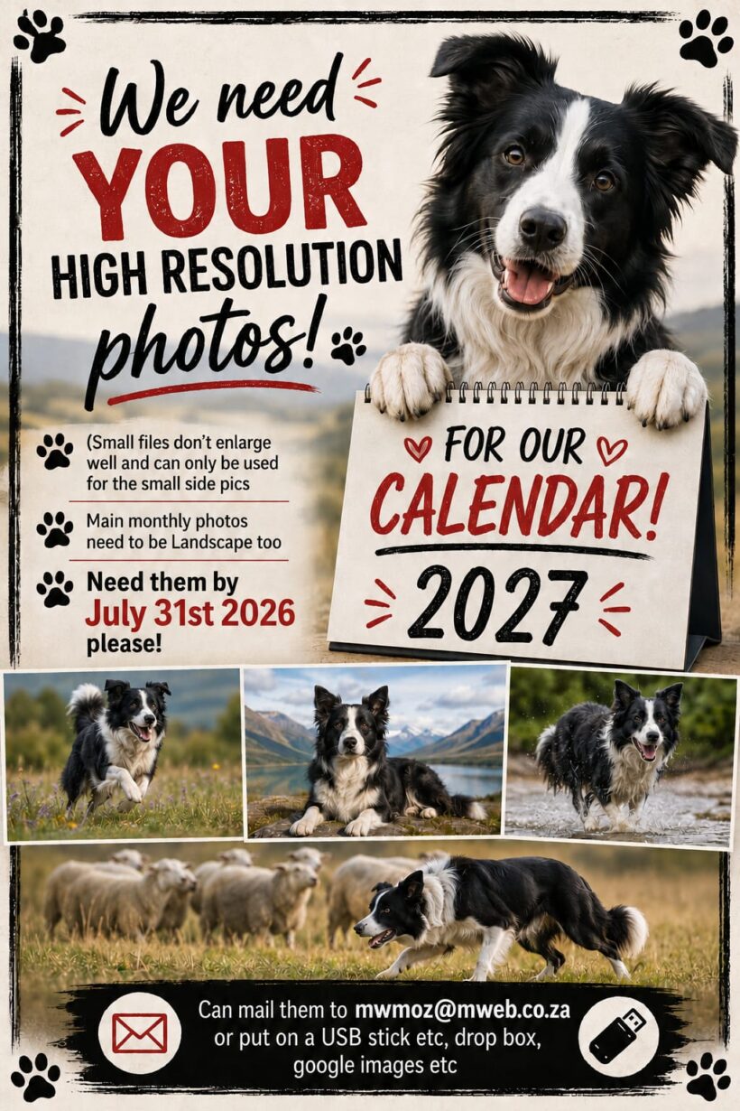2027 “Collindar” Call