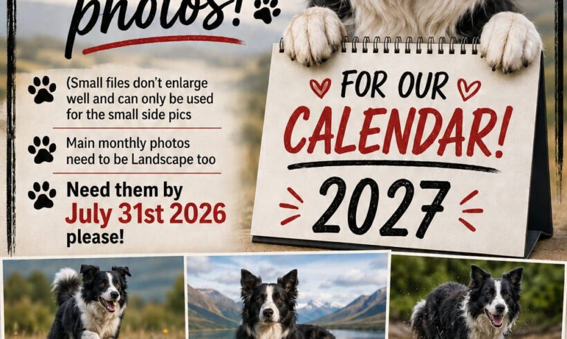 2027 “Collindar” Call