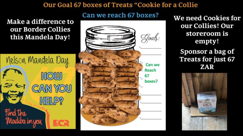 MANDELA DAY TREATS!
