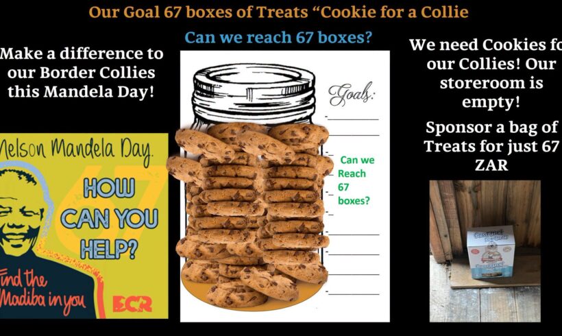 MANDELA DAY TREATS!