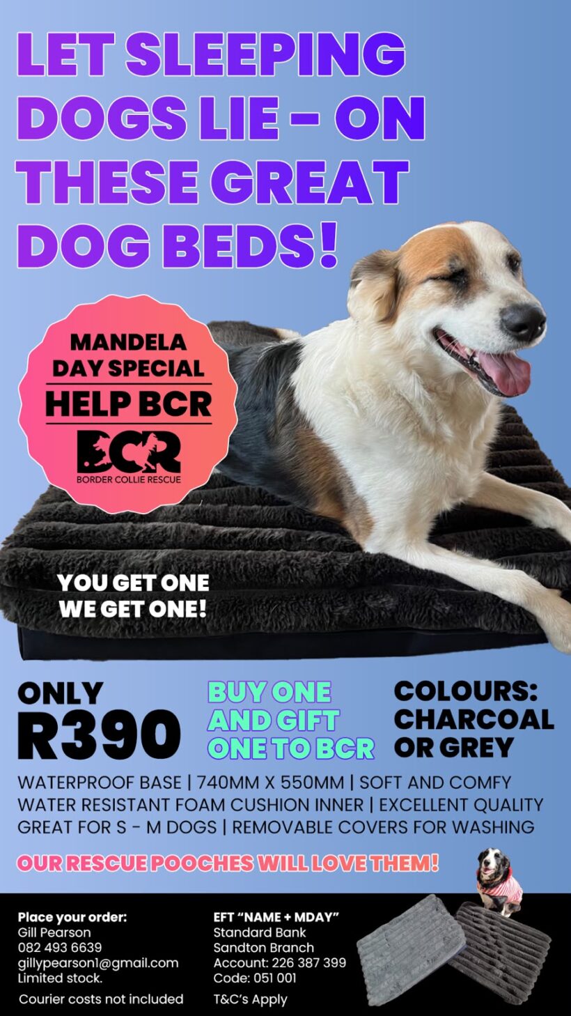BUY A DOG BED AND WE GET ONE FREE! BUY A DOG BED AND WE GET ONE FREE!