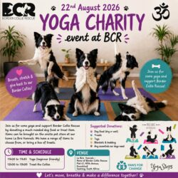 YOGA CHARITY EVENT SATURDAY 22nd AUGUST