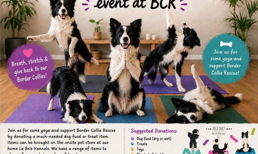 YOGA CHARITY EVENT SATURDAY 22nd AUGUST YOGA CHARITY EVENT SATURDAY 22nd AUGUST