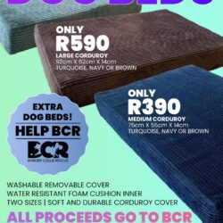 SUMMER RANGE OF DOG BEDS!