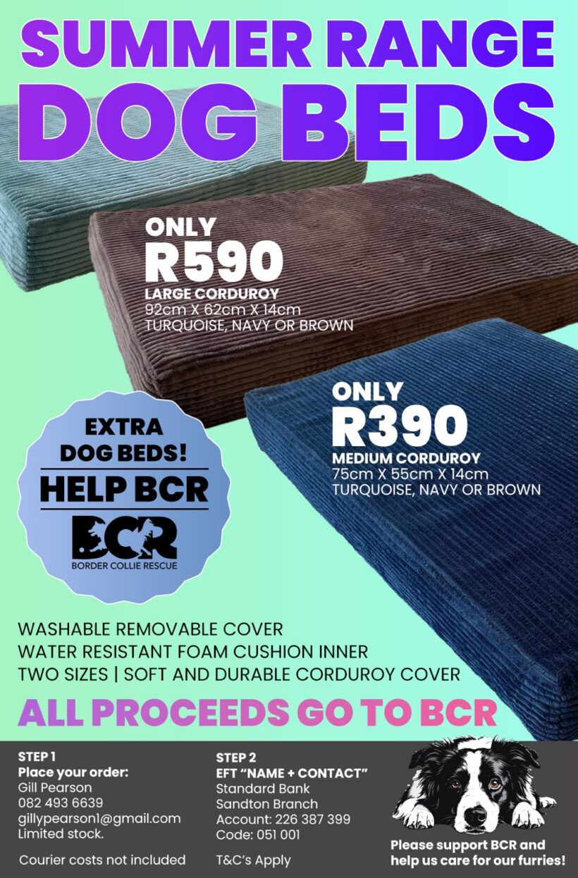 SUMMER RANGE OF DOG BEDS!