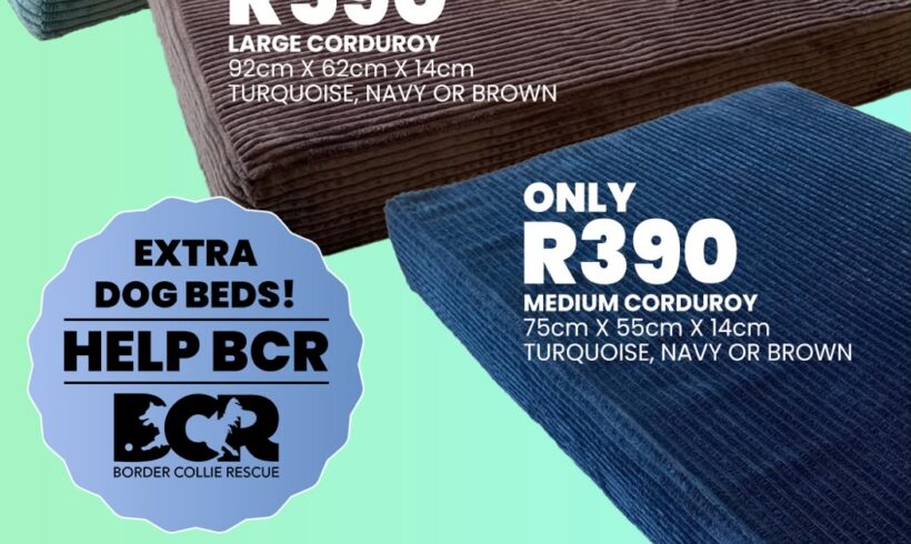 SUMMER RANGE OF DOG BEDS!