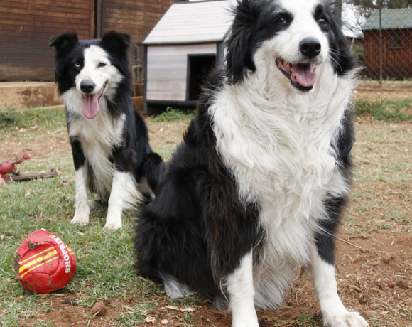 REX AND CASSIE REX AND CASSIE