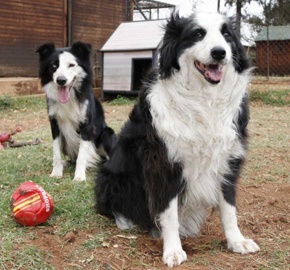 REX AND CASSIE