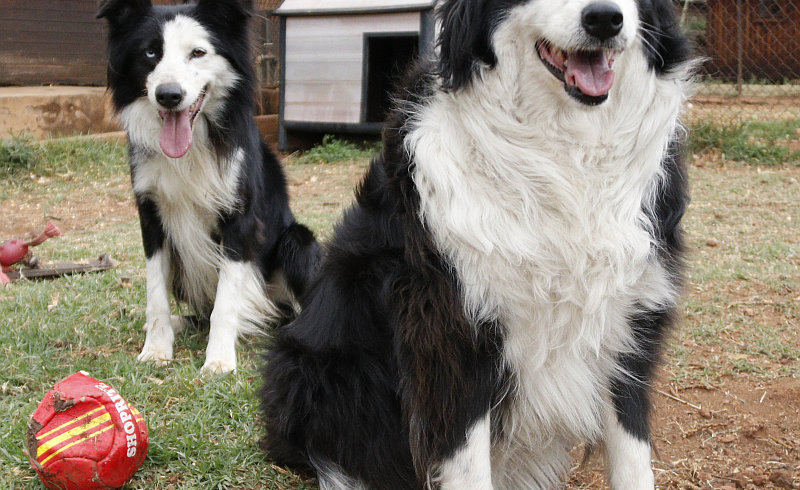 REX AND CASSIE