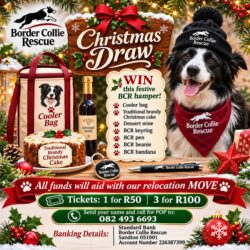 CHRISTMAS DRAW