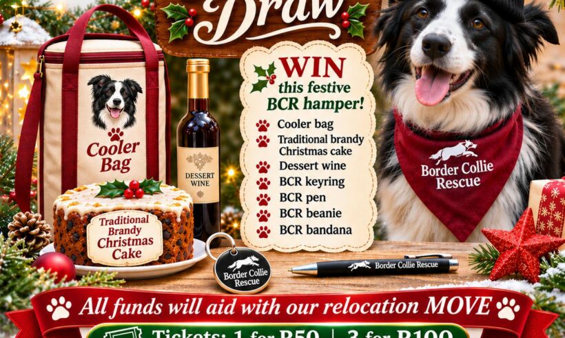 CHRISTMAS DRAW