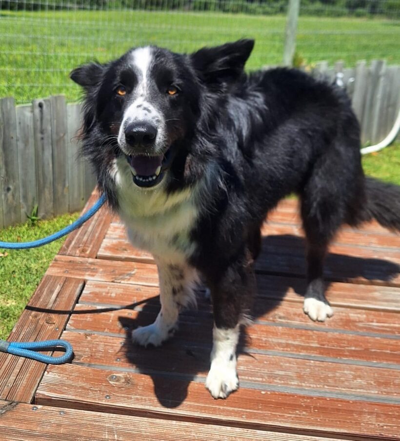 FYNN IN EAST LONDON