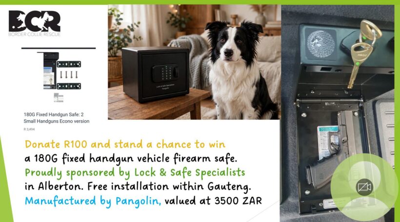 WIN A CAR GUNSAFE & HELP OUR COLLIES! SPONSORED BY LOCK AND SAFE SPECIALISTS!