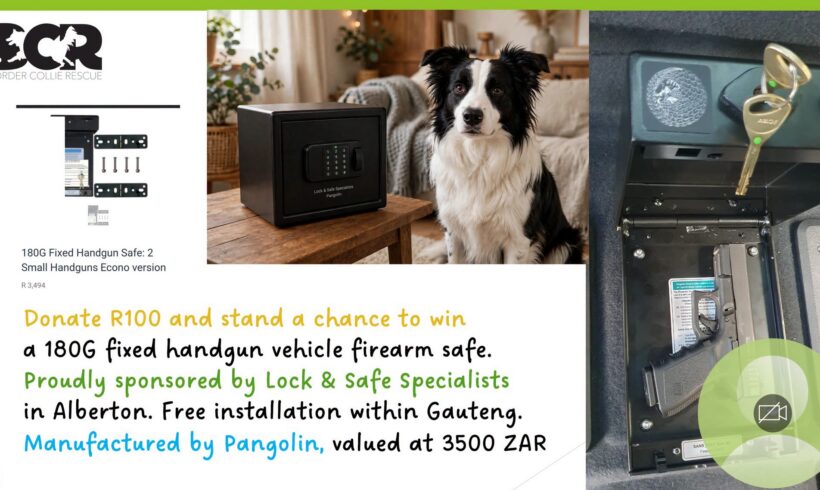 WIN A CAR GUNSAFE & HELP OUR COLLIES! SPONSORED BY LOCK AND SAFE SPECIALISTS!